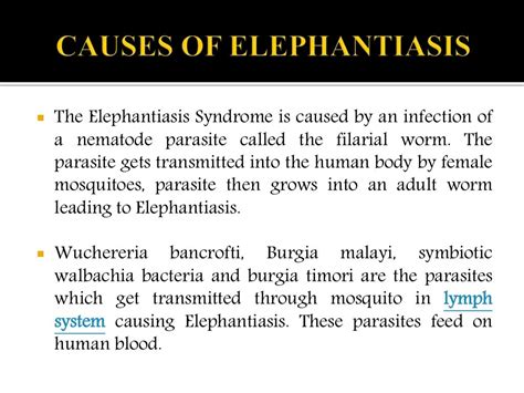 Elephantiasis Causes Symptoms Diagnosis And Treatment