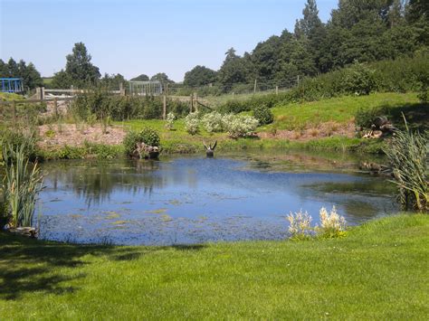 30 Large Pond Landscaping Ideas Decoomo
