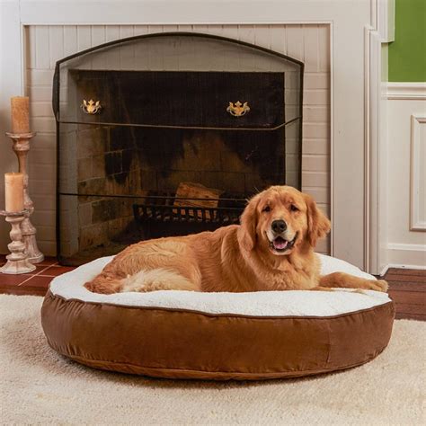 The 30 Best Large Dog Beds For Your Large Breed Dogs