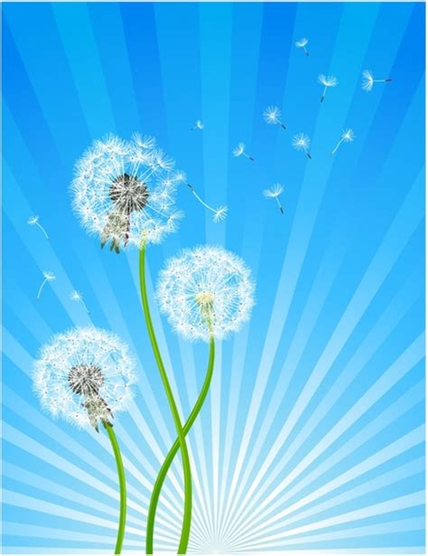Find & download free graphic resources for dandelion. Dandelion free vector download (98 Free vector) for ...