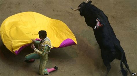 Colombia Bogota Bullfighters Stage Hunger Strike Bbc News