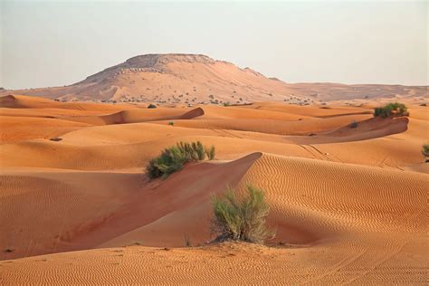Top 9 Largest Deserts In The World Knowinsiders