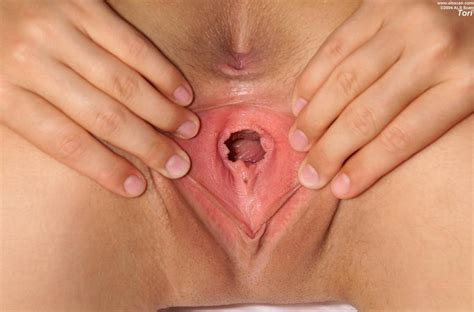 Vagina Close Up Spread Open Pussy Hotnupics