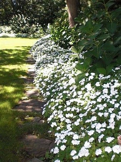 39 Elegant White Plants Garden Design Ideas For You Decorkeun