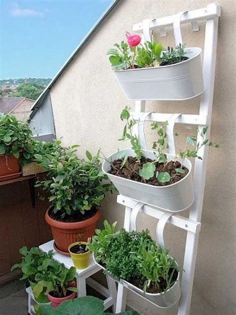 35 Best Indoor Herb Garden Ideas For Your Small Home And