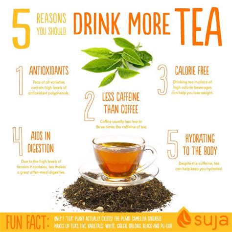 Benefits Of Drinking Tea 5 Reasons To Start Sipping Now Suja Juice