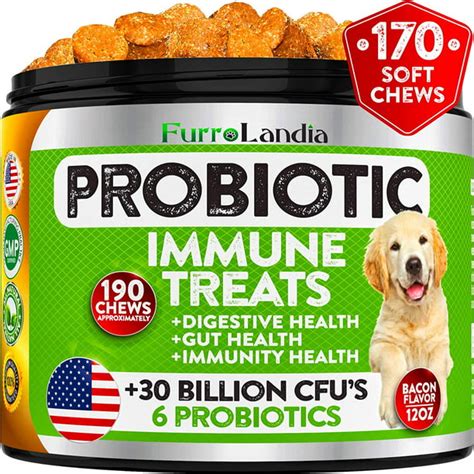 Probiotics For Dogs 190 Advanced Dog Probiotics Chews With 30 Billion