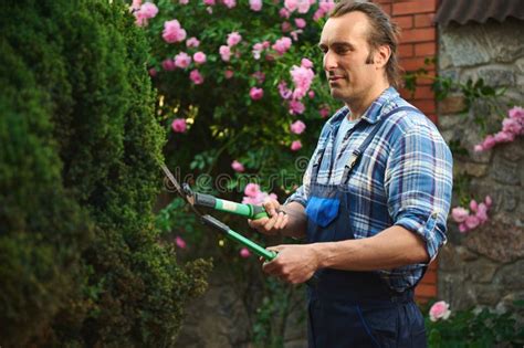 Latin American Professional Male Gardener Cutting Plants Using Pruning Shears For Trimming And