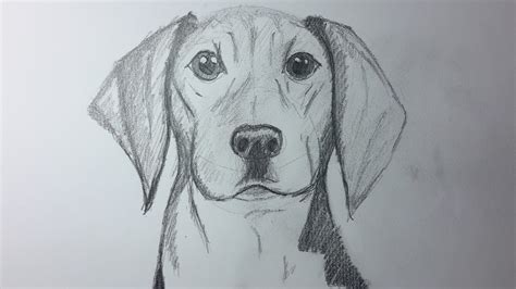 Como Dibujar Un Perro Paso A Paso How To Draw A Dog El Dibujante