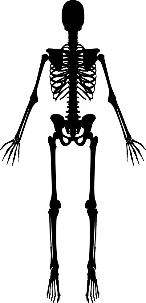 Clipart skeleton baby skeleton, Clipart skeleton baby ...