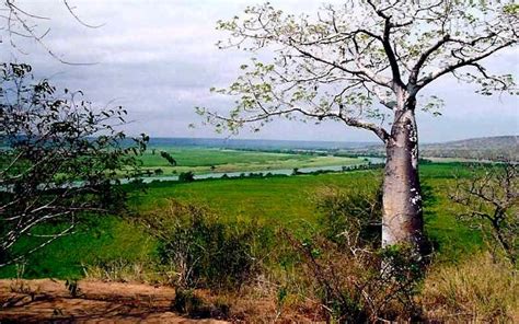 Kissama National Park A Must Watch Wildlife Safari Spot Bengo Angola