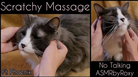 Asmr Scratchy Cat Massage 🐈 Lots Of Purring Fake Nails And Comb No Talking Asmr
