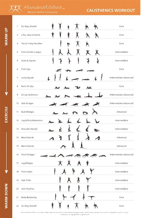 Calisthenics Poster Calisthenics Workout Plan Calisthenics