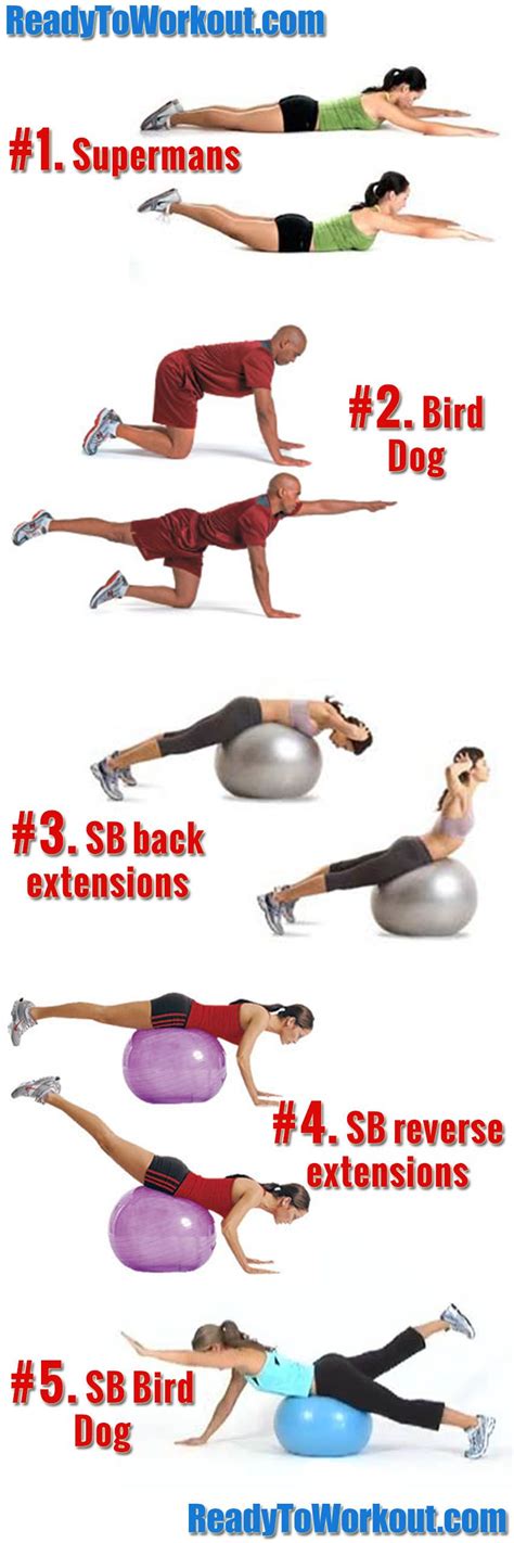Lower Back Exercises You Can Do At Home Ready To Workout Back
