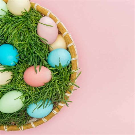 10 Easter Basket Grass Alternatives Get Green Be Well