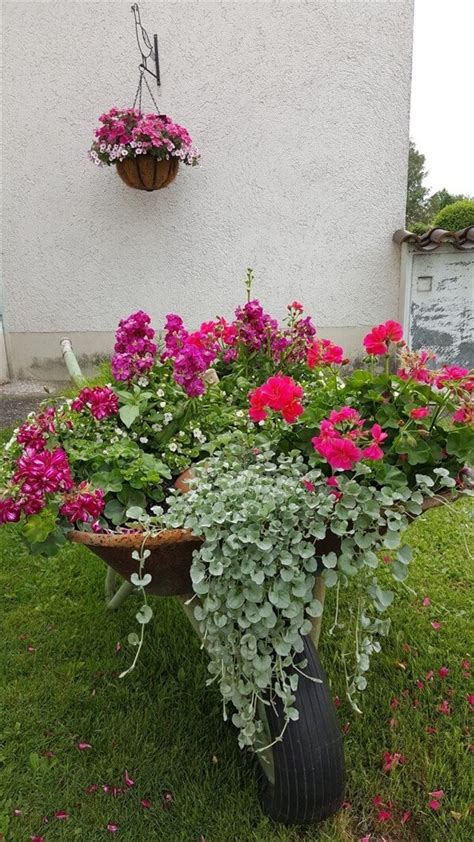 Maybe you would like to learn more about one of these? 30+ Awesome DIY Wheelbarrow Planter Ideas & Projects For ...