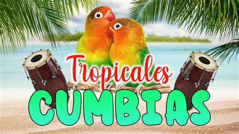 Cumbias Tropicales Mix 2023 💃 Fito Olivares Acapulco Tropical