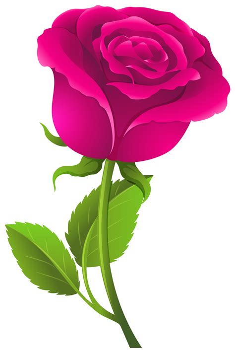Pink Rose With Green Leaves 559806 Vector Art At Vecteezy