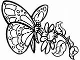 Butterfly Coloring Pages Nature sketch template
