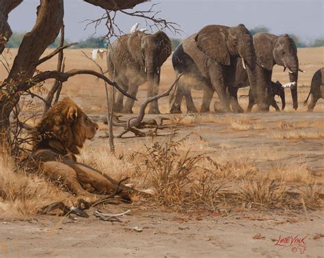 African Wildlife Wildlife Paintings Wildlife Artists