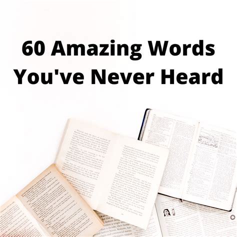 60 Amazing Words Youve Never Heard Of Owlcation