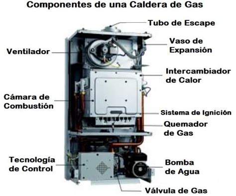 Soltero Beneficioso Dormir Partes De Una Caldera De Gas Bonito