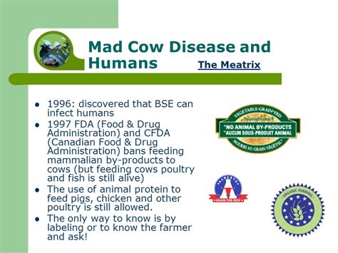 Mad Cow Disease History Center For Food Safety Issues