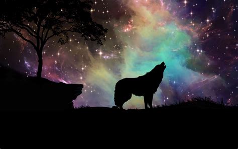 Wolf Aurora Wallpapers Top Free Wolf Aurora Backgrounds Wallpaperaccess