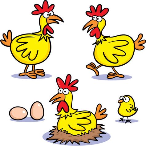 Funny Chicken Illustrations Royalty Free Vector Graphics