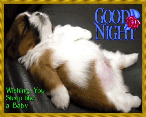 Puppy Wishes You Good Night Free Good Night Ecards Greeting Cards
