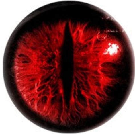 Glass Eyes Dragon Taxidermy Red Fantasy Eyes Eye Set Of 2 Steampunk