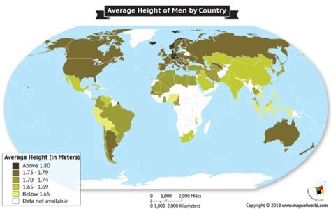 What Is The Average Height Of Males Around The World Answers