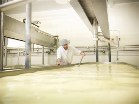 Arbeiter rührt Milch für Käseherstellung Lizenzfreies Foto