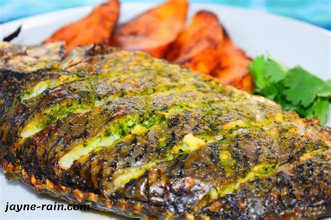 Oven Grilled Tilapia Fish Recipe Jayne Rain
