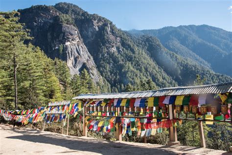 There Are Frequent Visits To The Attractive Dzongs Such As Paro