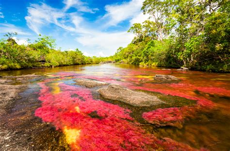 El Río De Cinco Colores Un Río Colombiano Que Te Dejará Sin Aliento