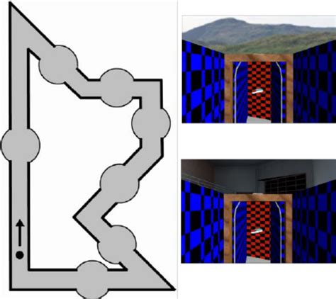 Left Schematic Drawing Of The Labyrinth Layout With The Starting Point