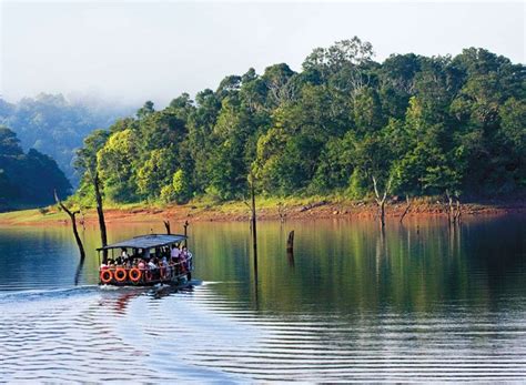 How To Plan Your Trip To Periyar National Park Periyar Travel Guide