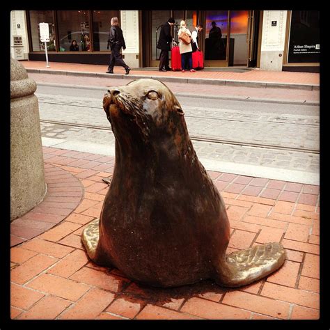 Seal Sculpture Photograph By Shanti Braford Pixels