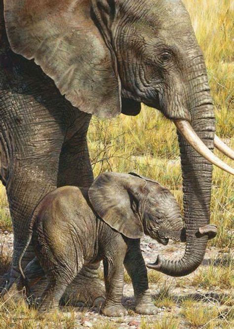 Pin By Mikael Lith On Animals Animals Wild African Elephant Elephant