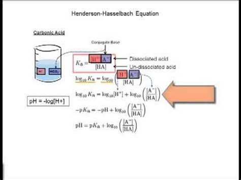 Henderson Hasselbalch Equation Calculator Zikinsights