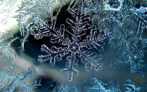 Hd Wallpaper Snowflake Illustration Winter Macro Ice Christmas