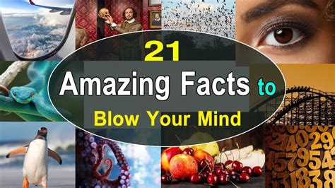 21 amazing facts to blow your mind amazing facts for people who can t get enough amazing
