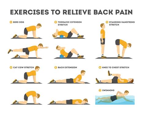 Exercises For Lower Back Pain Men S Health France SAVE