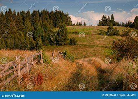 Sunny Mountain Meadow Stock Image Image Of Beautiful 138980641