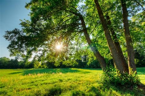 Summer Morning Fog In A Small Town Aerial View Stock Photo Image Of