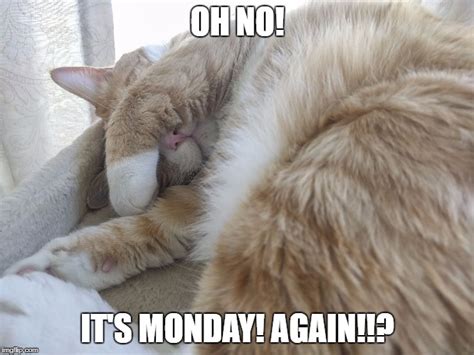 Oh No Its Monday Again Imgflip