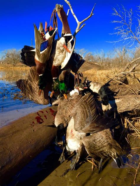 Duck Hunts On Private Land Texas