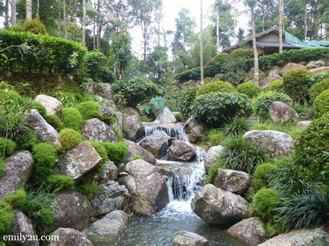 Within the botanical garden, you get to enjoy different types of flowering plants. Japanese Village, Berjaya Hills, Bukit Tinggi- From Emily ...