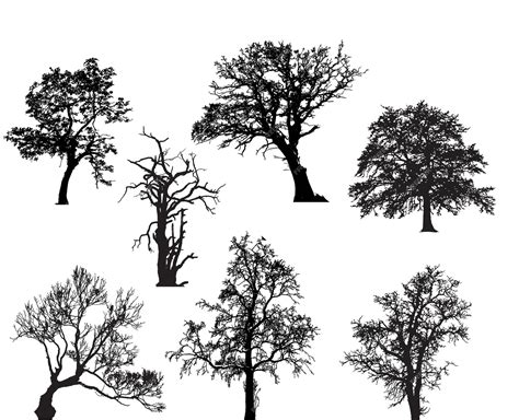 Premium Vector Tree Silhouette Vector